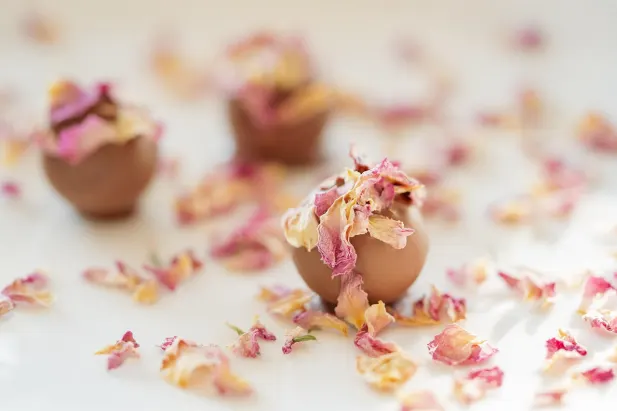 Casino Fantastic Spins Aip Android/iOS